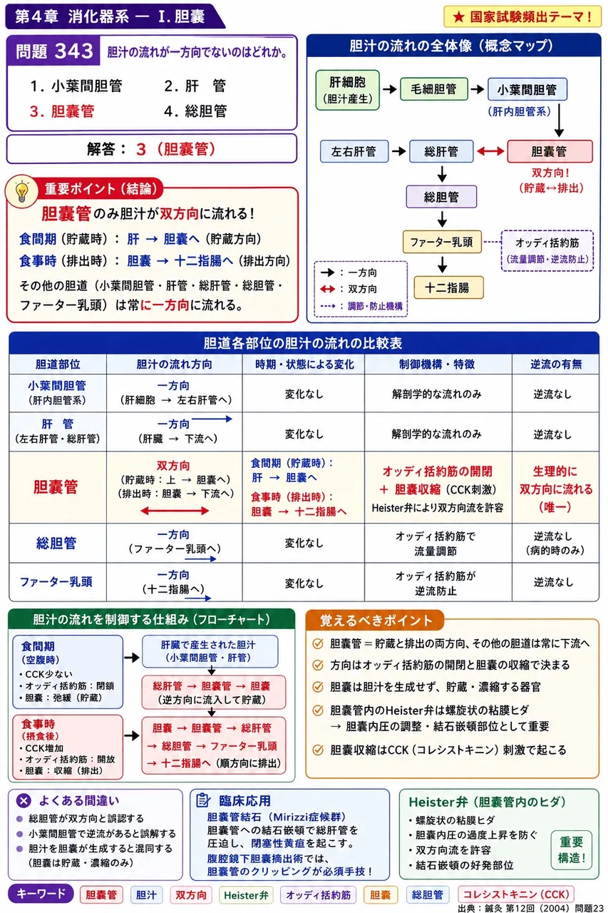 鍼灸 第12回(2004) 問題23｜胆汁の流れが一方向でないのはどれか。 解説図