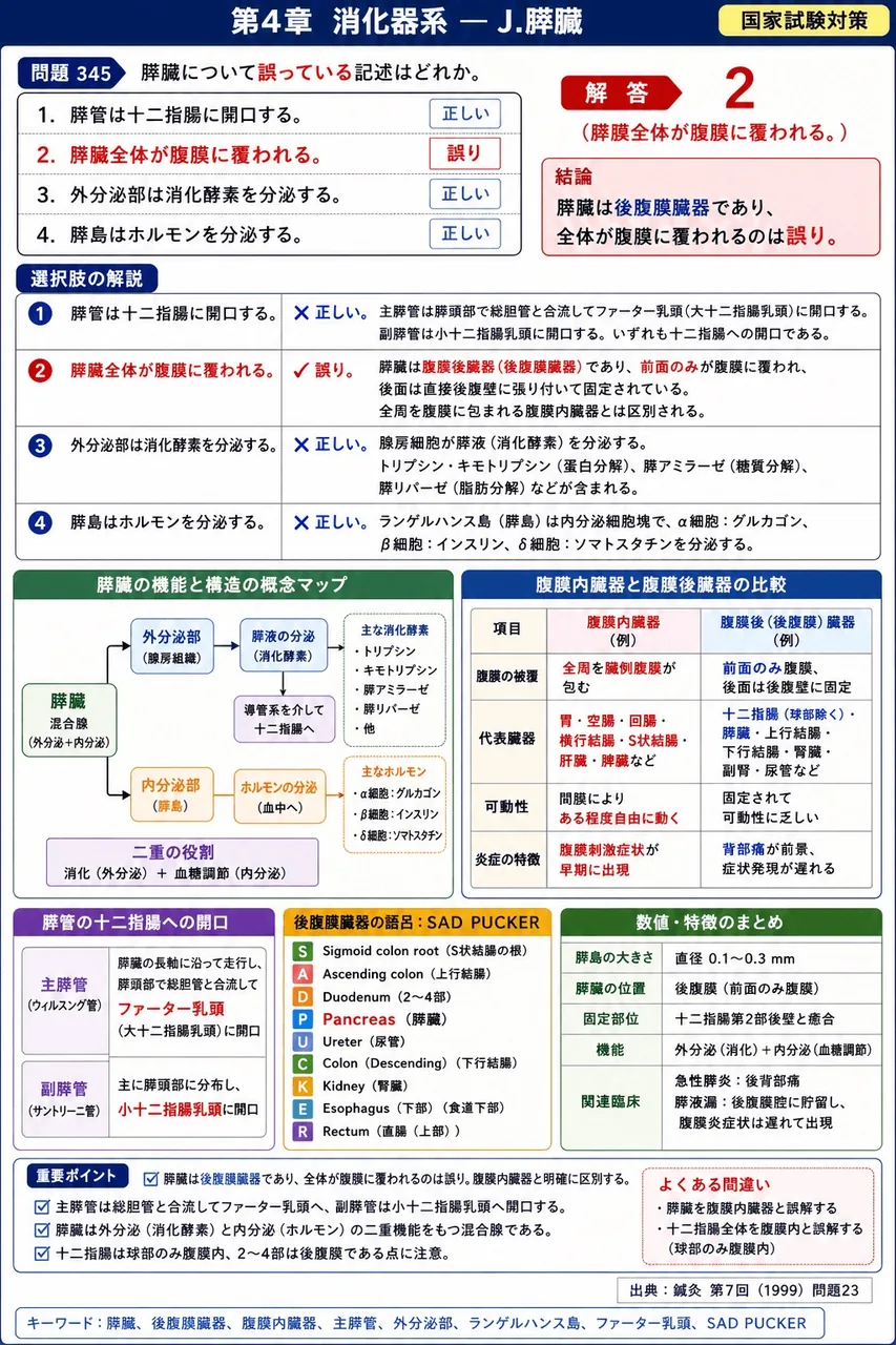 鍼灸 第7回(1999) 問題23｜膵臓について誤っている記述はどれか。 解説図