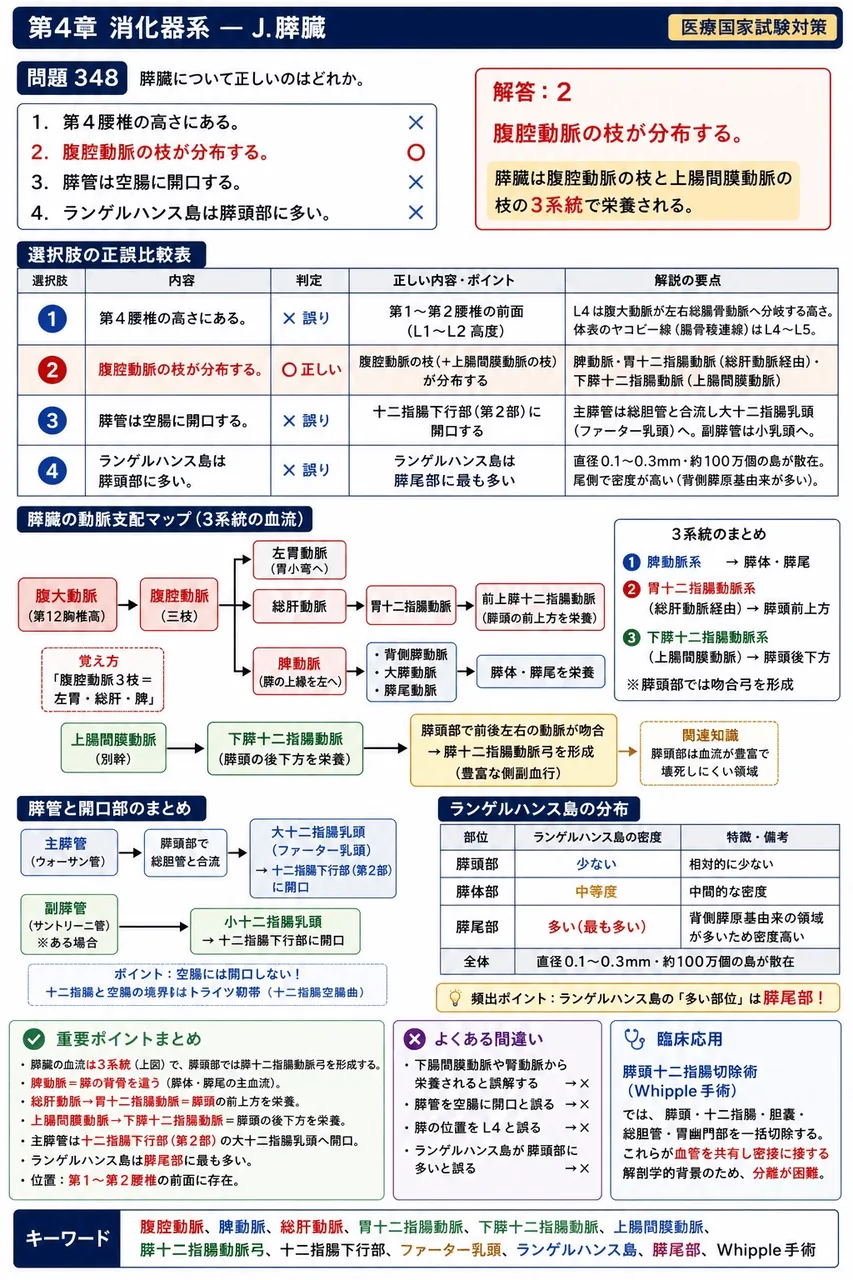 あマ指 第27回(2019) 問題23｜膵臓について正しいのはどれか。 解説図
