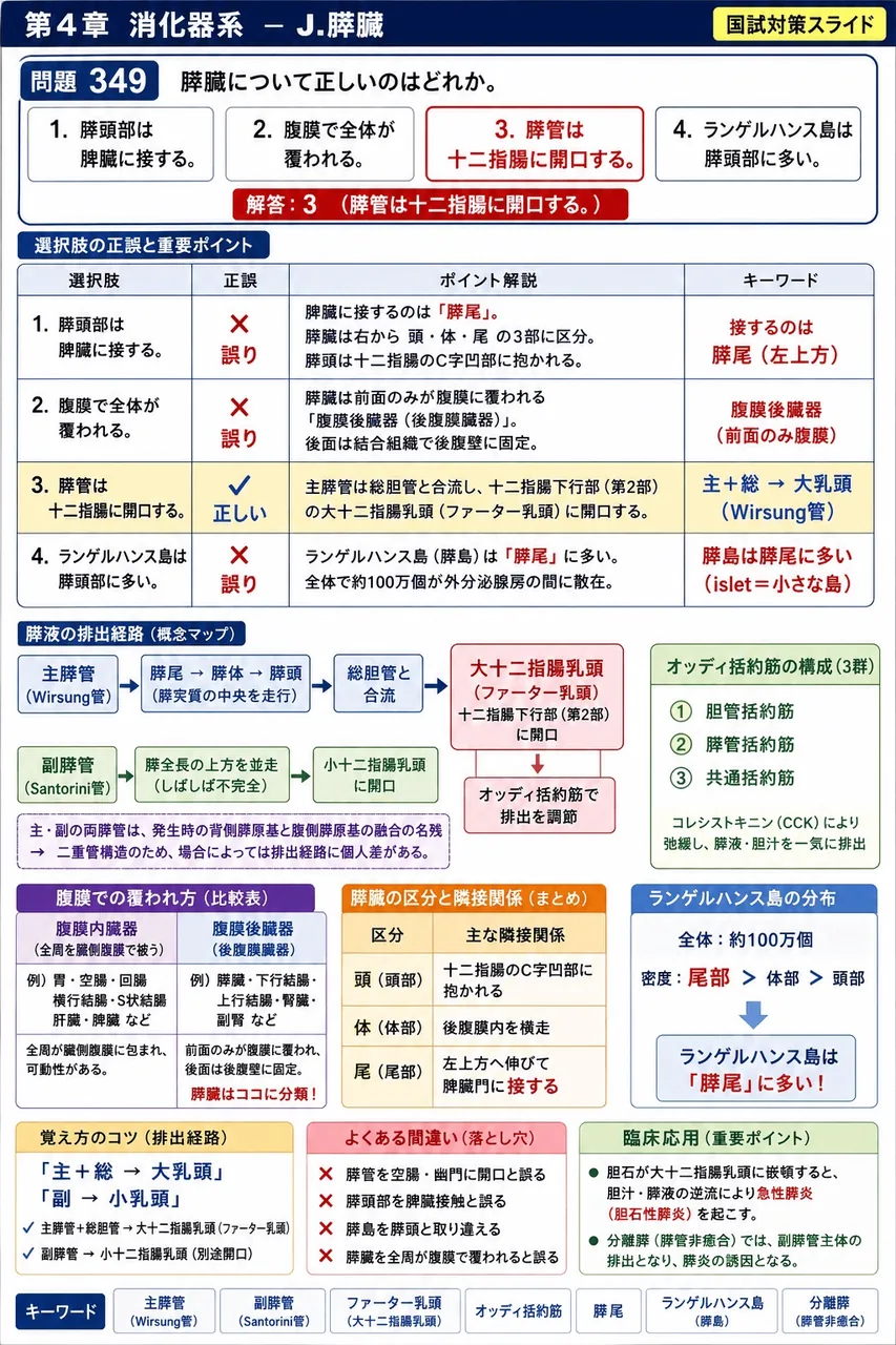 鍼灸 第30回(2022) 問題21｜膵臓について正しいのはどれか。 解説図