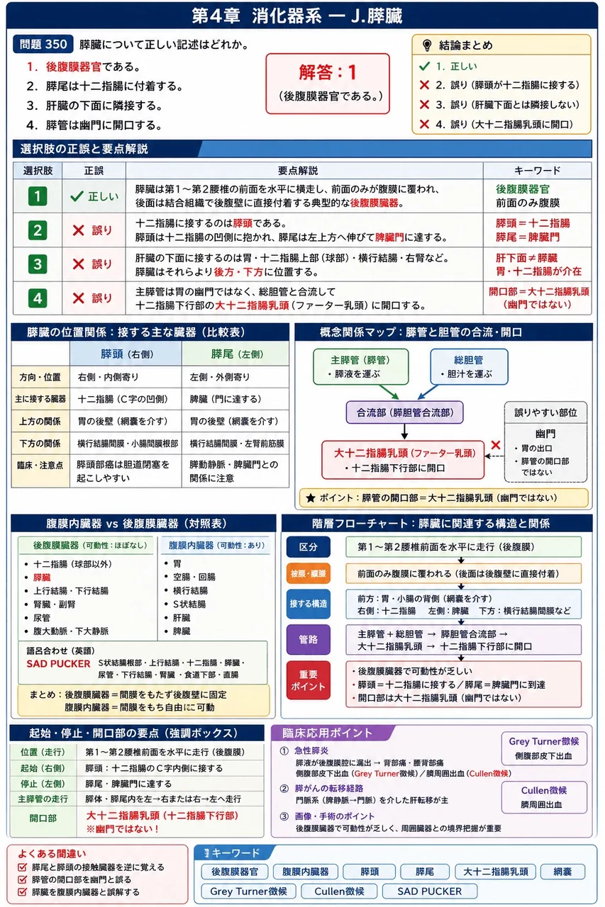 鍼灸 第13回(2005) 問題21｜膵臓について正しい記述はどれか。 解説図