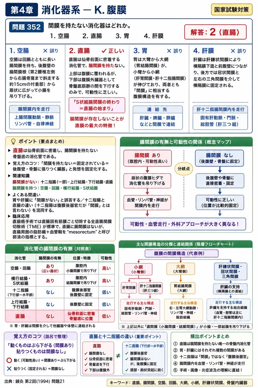 鍼灸 第2回(1994) 問題21｜間膜を持たない消化器はどれか。 解説図