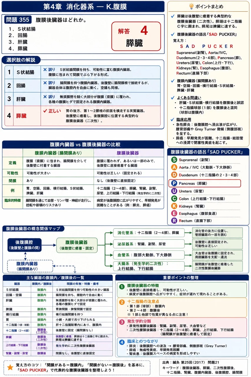 鍼灸 第25回(2017) 問題21｜腹膜後臓器はどれか。 解説図