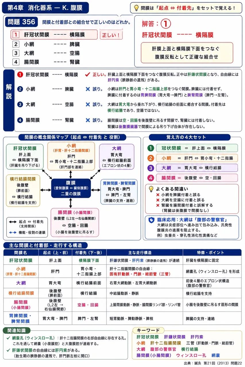 鍼灸 第21回(2013) 問題22|間膜と付着部との組合せで正しいのはどれか。 解説図
