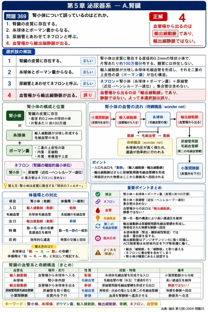 鍼灸 第12回(2004) 問題25|腎小体について誤っているのはどれか。 解説図