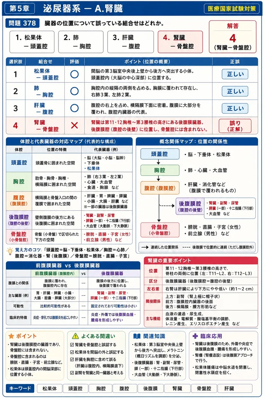 あマ指 第3回(1995) 問題17｜臓器の位置について誤っている組合せはどれか。 解説図