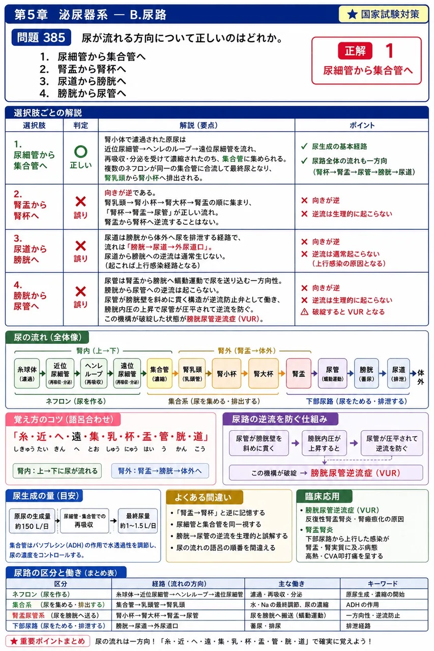 鍼灸 第4回(1996) 問題24|尿が流れる方向について正しいのはどれか。 解説図
