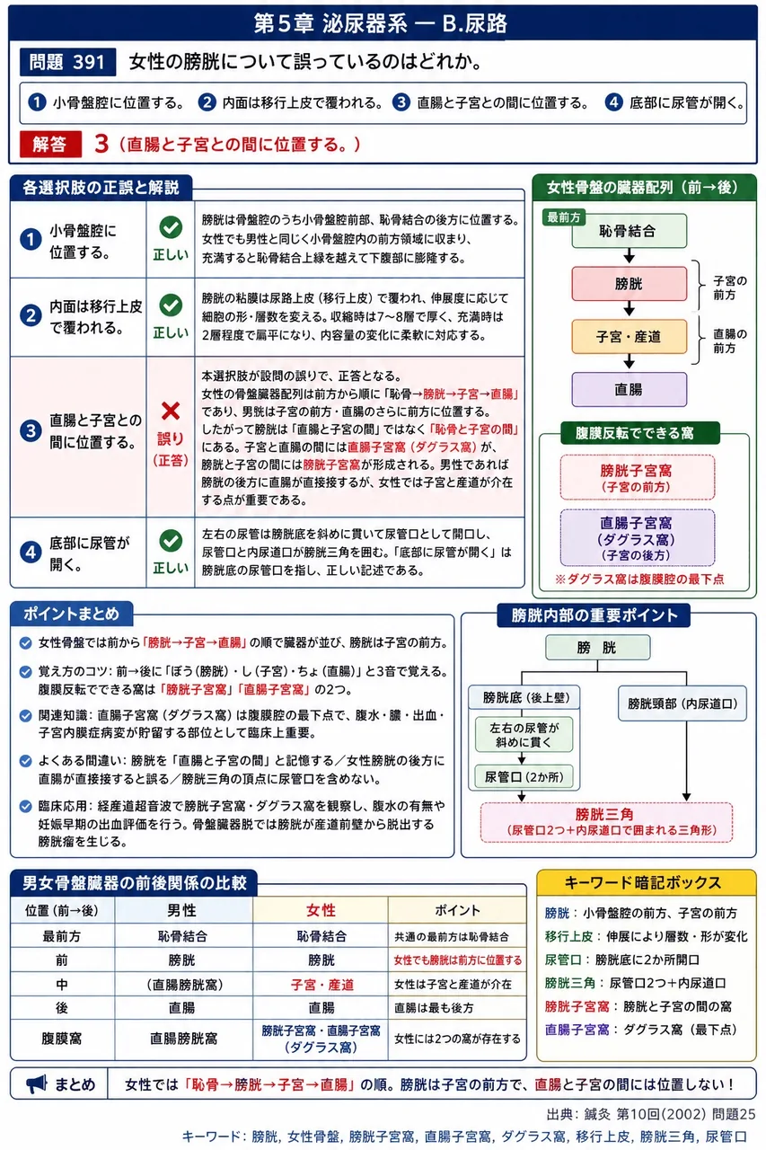 鍼灸 第10回(2002) 問題25｜女性の膀胱について誤っているのはどれか。 解説図