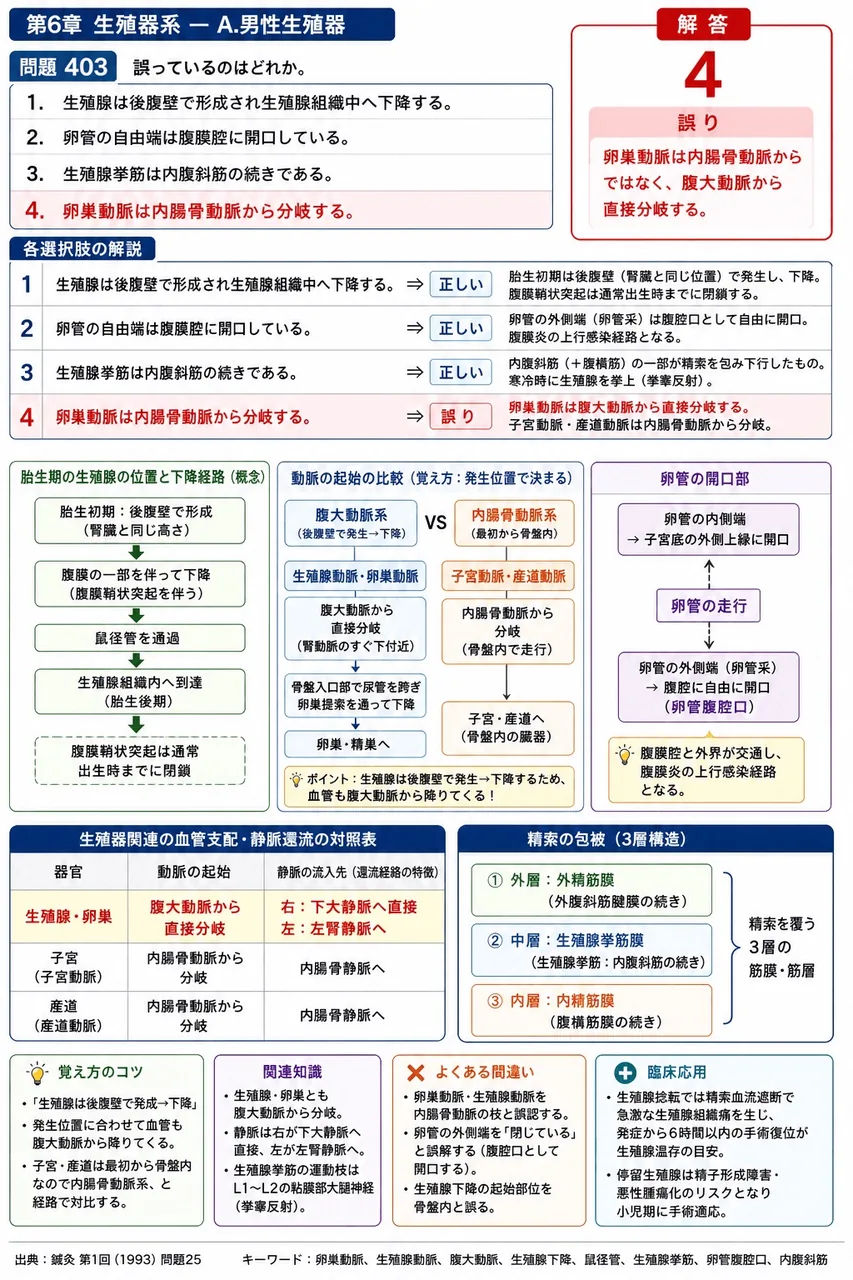 鍼灸 第1回(1993) 問題25｜誤っているのはどれか。 解説図