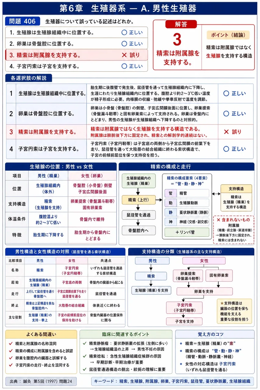 鍼灸 第5回(1997) 問題24｜生殖器について誤っている記述はどれか。 解説図