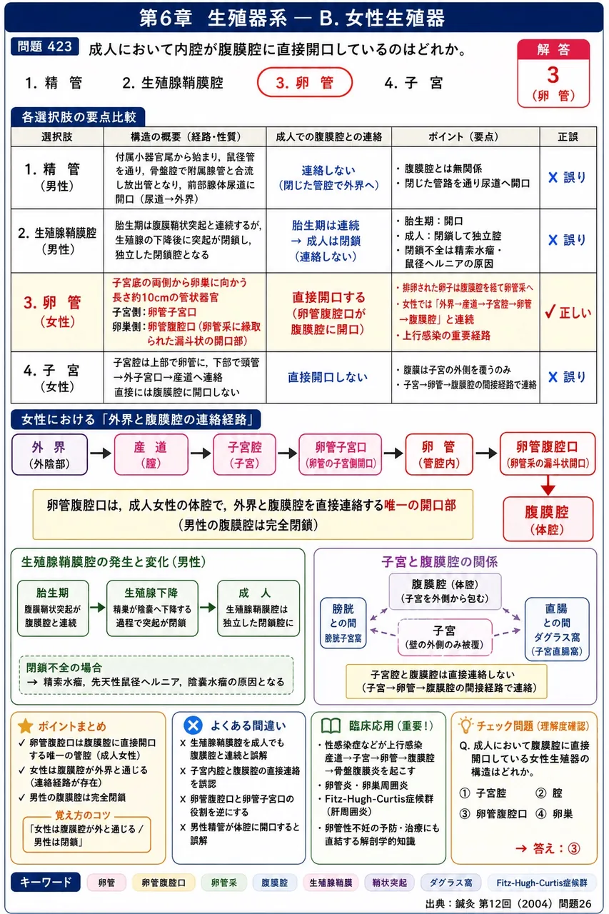鍼灸 第12回(2004) 問題26｜成人において内腔が腹膜腔に直接開口しているのはどれか。 解説図