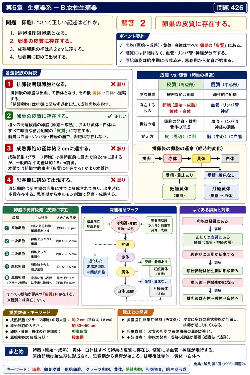 鍼灸 第3回(1995) 問題24｜卵胞について正しい記述はどれか。 解説図