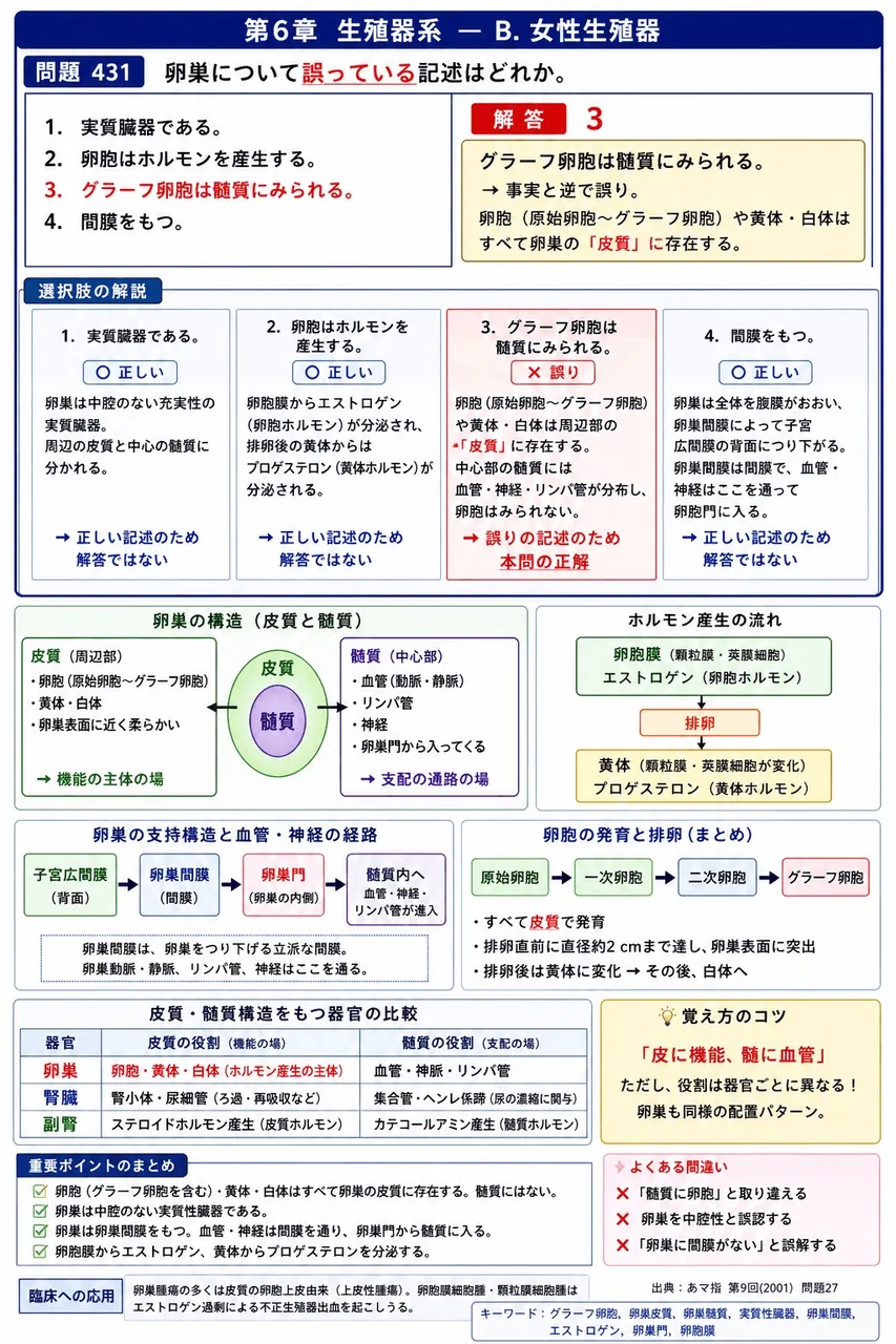 あマ指 第9回(2001) 問題27｜卵巣について誤っている記述はどれか。 解説図