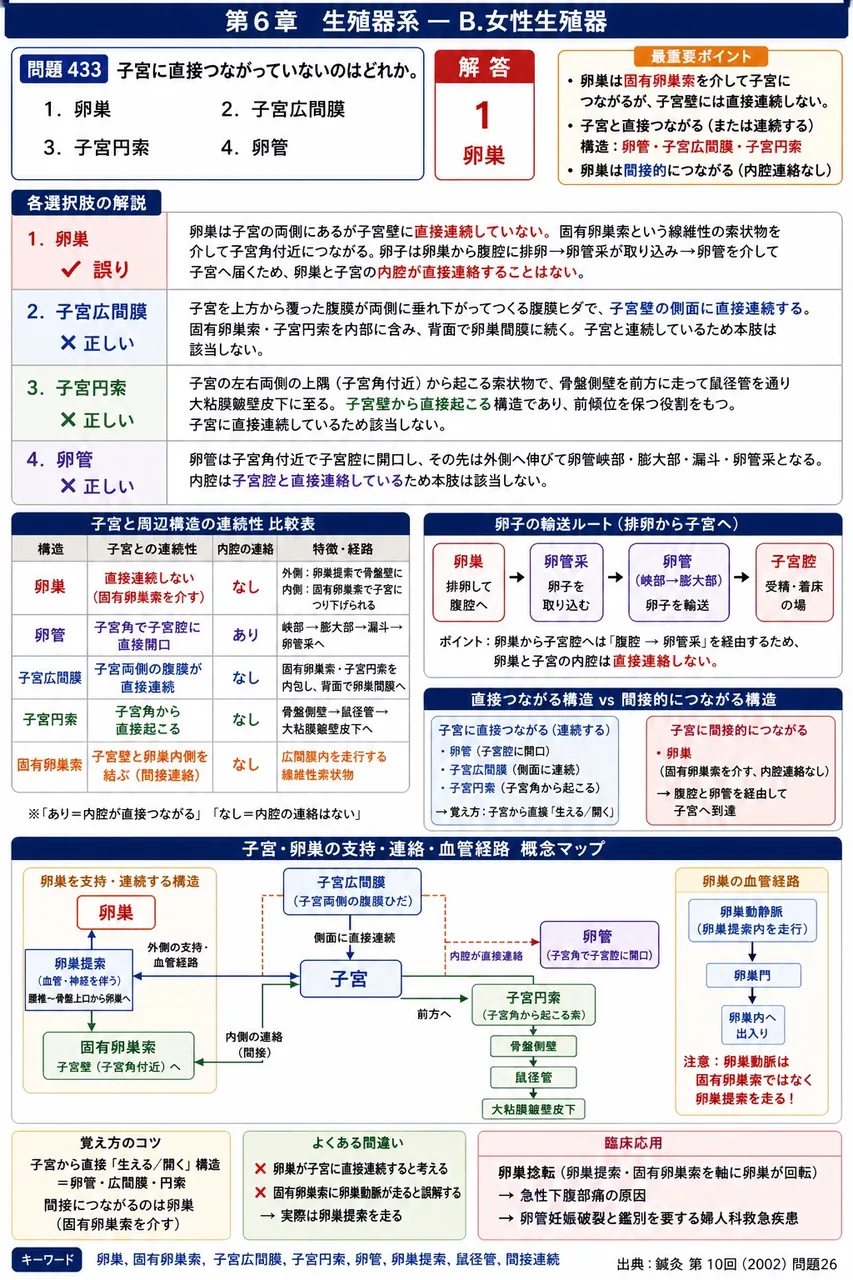 鍼灸 第10回(2002) 問題26|子宮に直接つながっていないのはどれか。 解説図