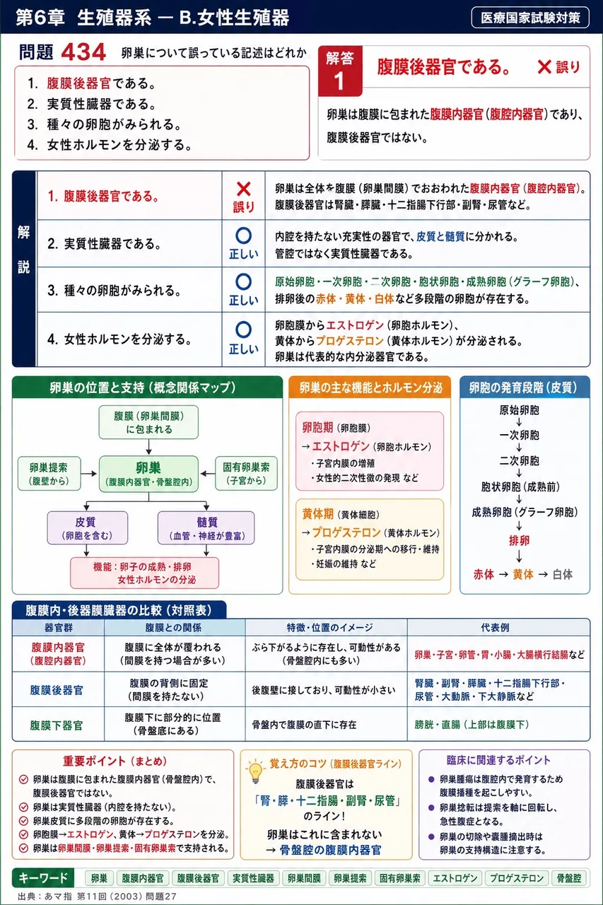 あマ指 第11回(2003) 問題27｜卵巣について誤っている記述はどれか。 解説図