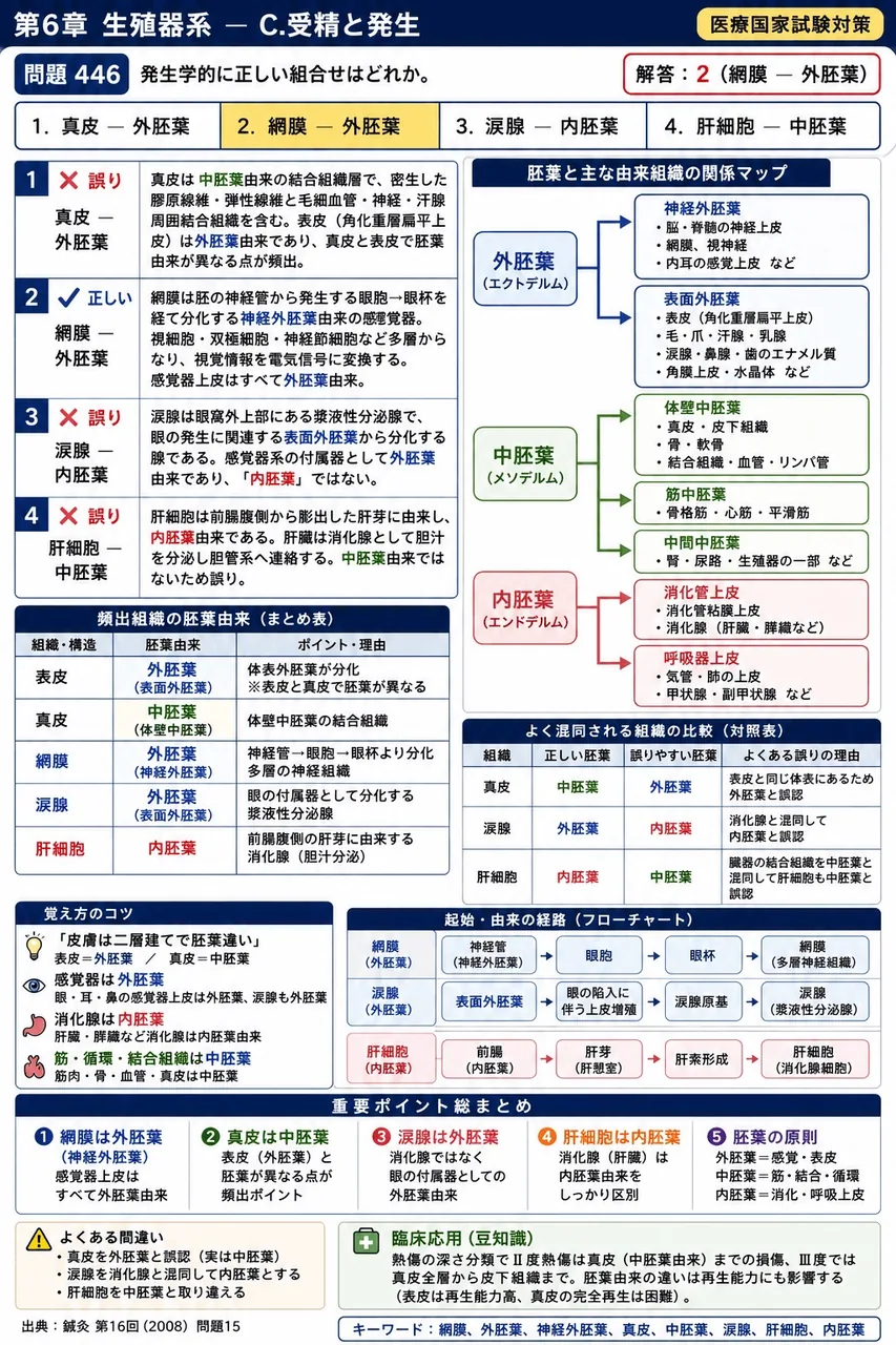 鍼灸 第16回(2008) 問題15｜発生学的に正しい組合せはどれか。 解説図