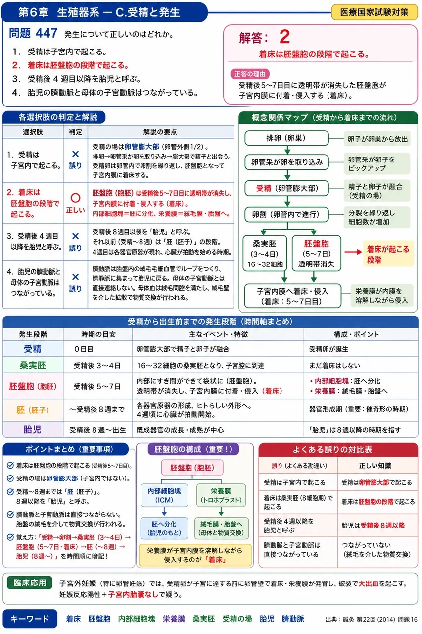 鍼灸 第22回(2014) 問題16｜発生について正しいのはどれか。 解説図