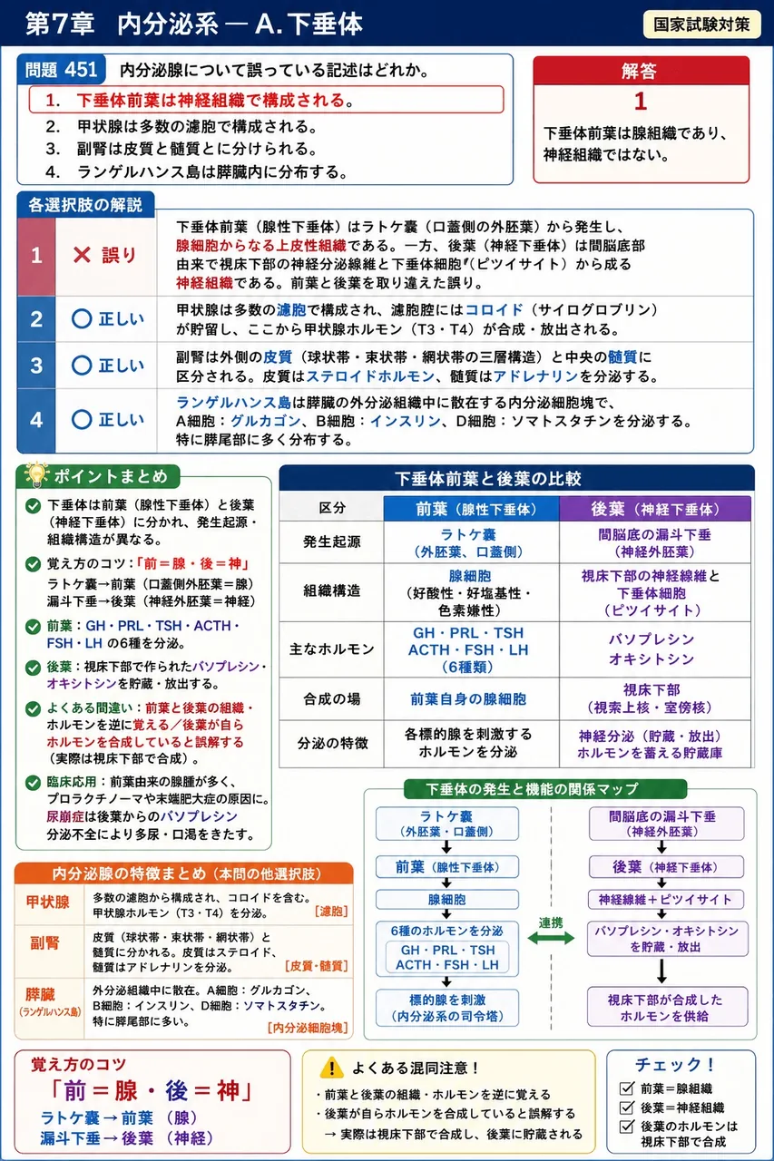 鍼灸 第5回(1997) 問題25｜内分泌腺について誤っている記述はどれか。 解説図