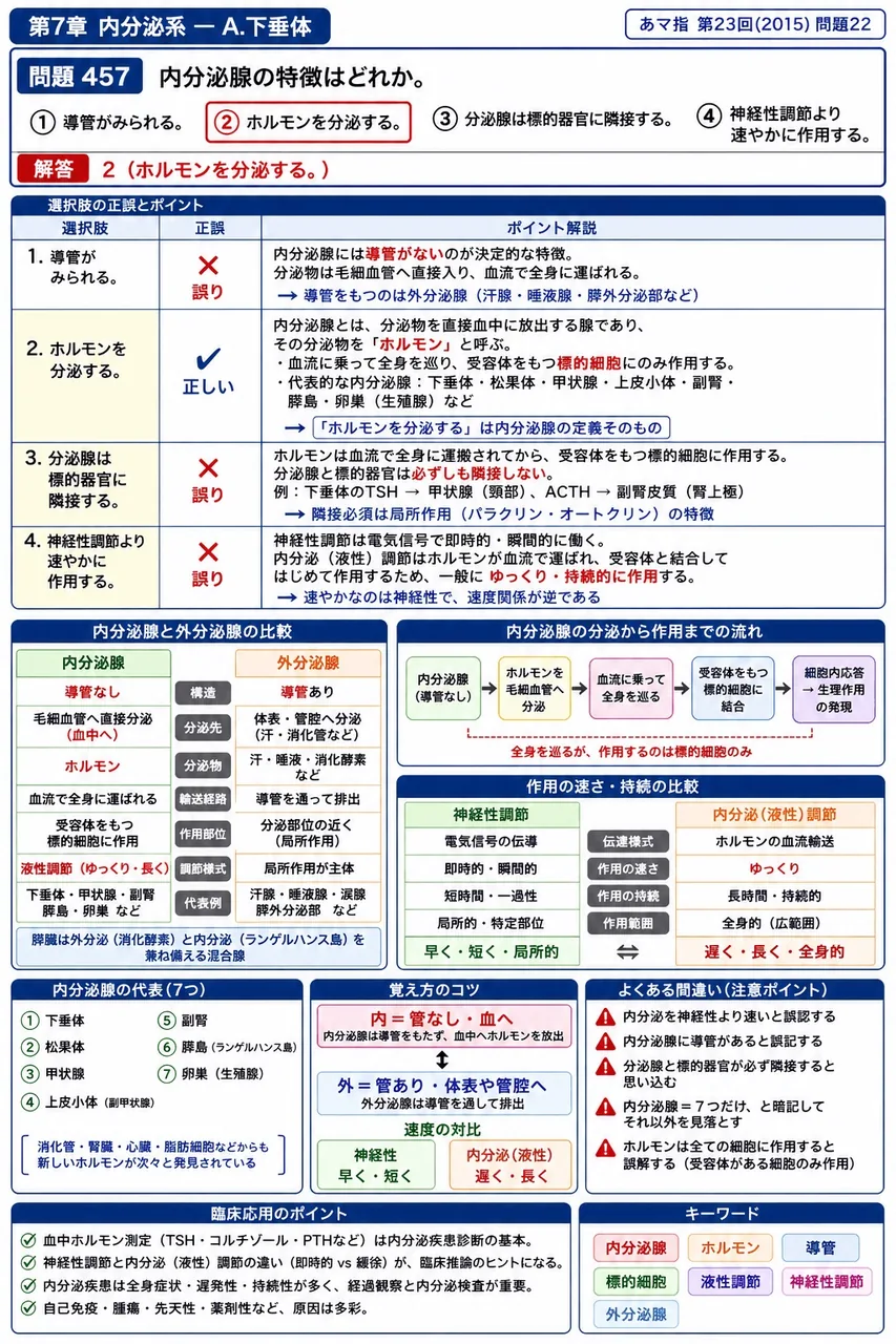 あマ指 第23回(2015) 問題22｜内分泌腺の特徴はどれか。 解説図