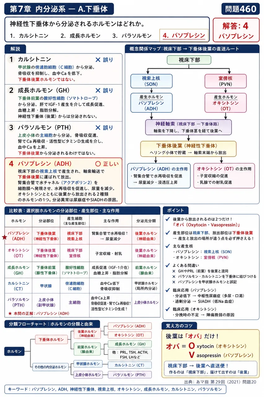 あマ指 第29回(2021) 問題20|神経性下垂体から分泌されるホルモンはどれか。 解説図