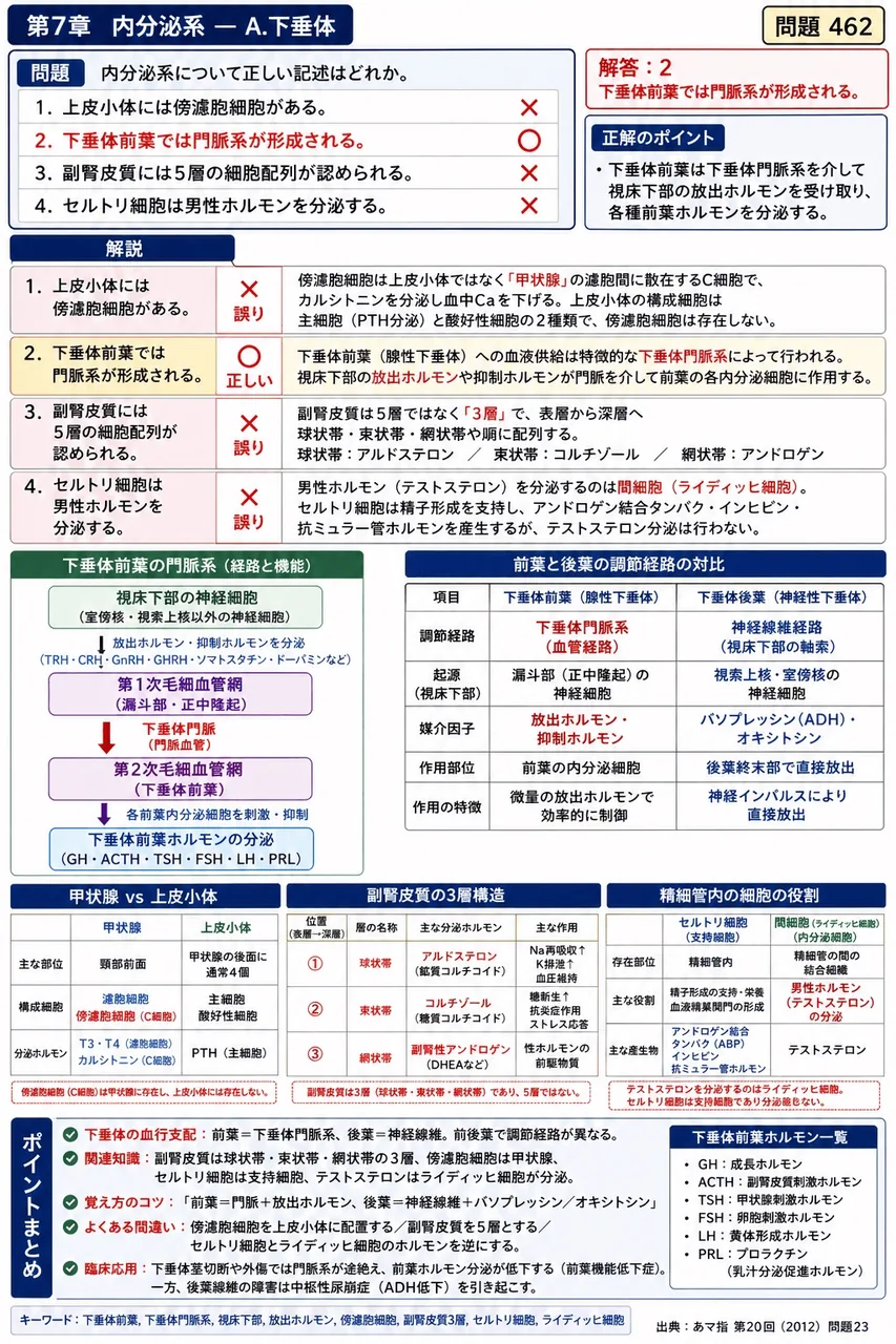 あマ指 第20回(2012) 問題23｜内分泌系について正しい記述はどれか。 解説図