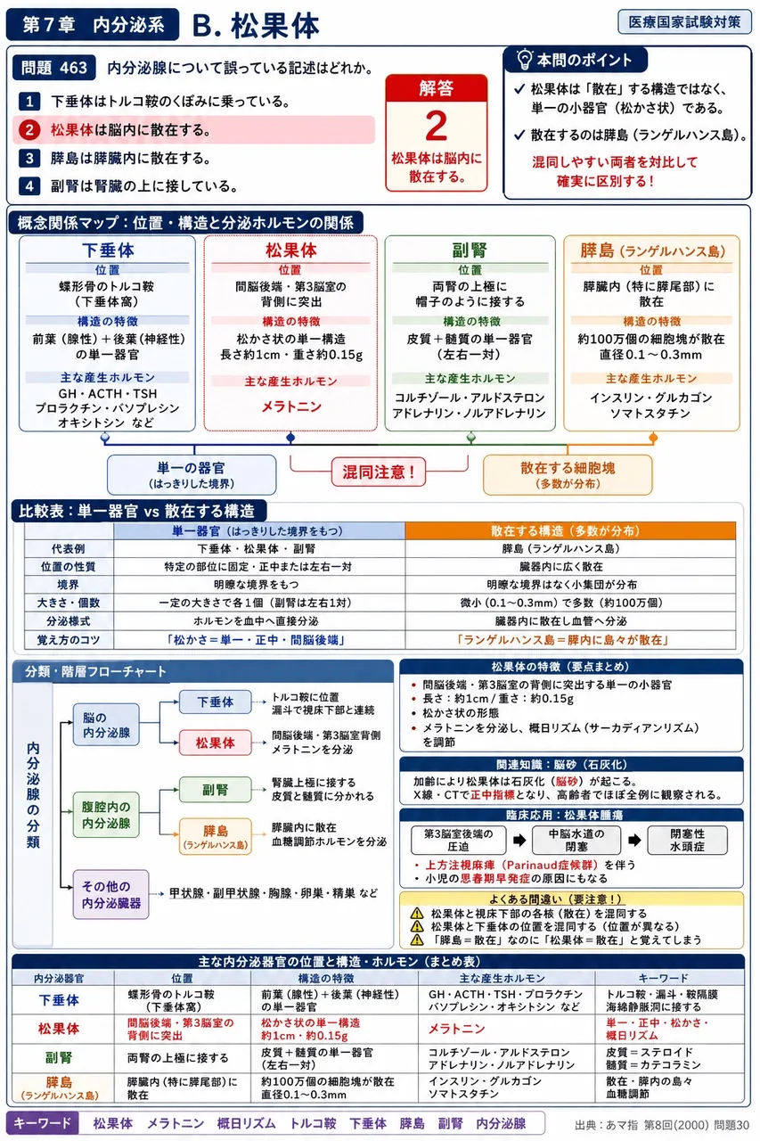 あマ指 第8回(2000) 問題30｜内分泌腺について誤っている記述はどれか。 解説図