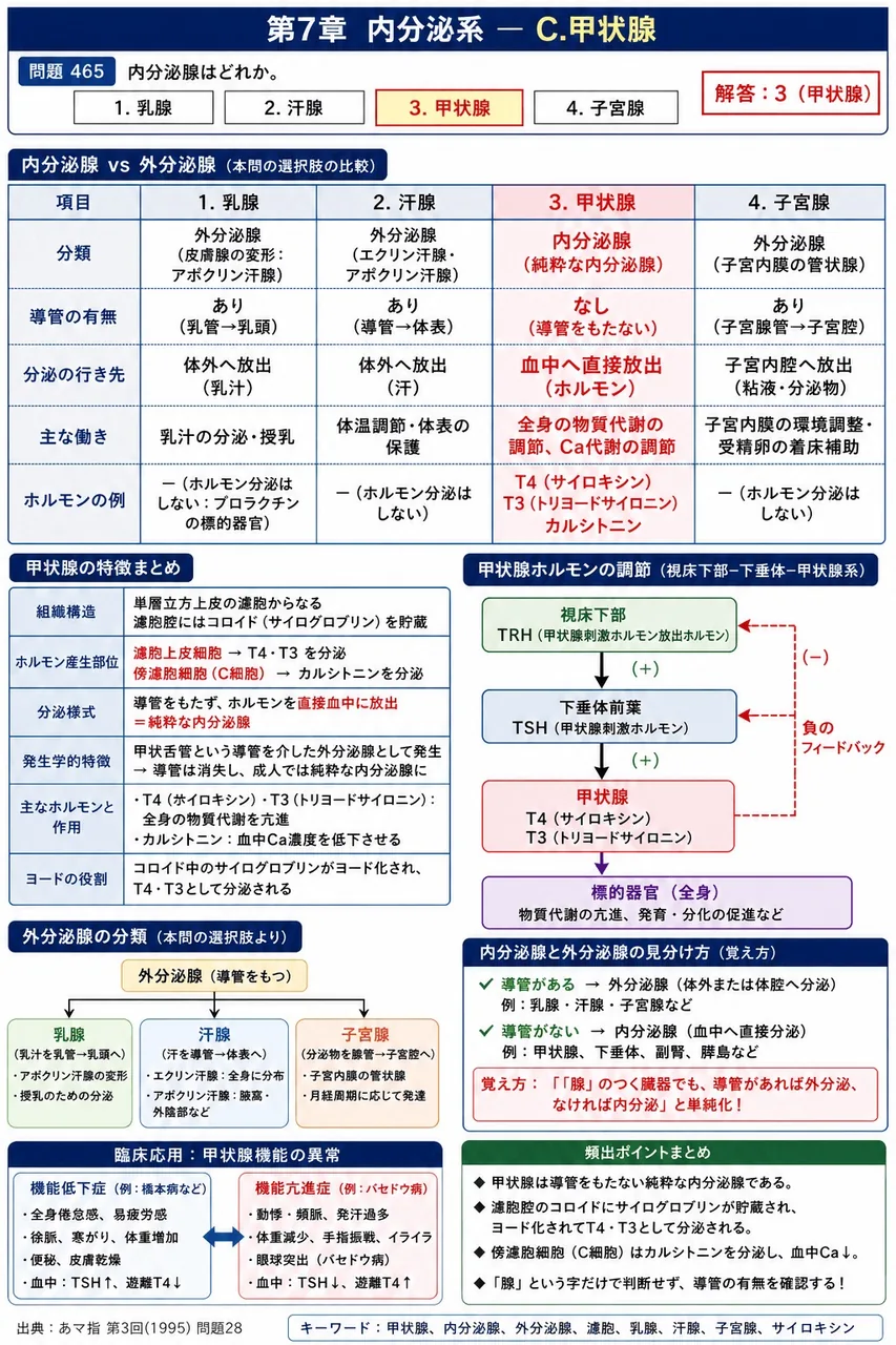あマ指 第3回(1995) 問題28｜内分泌腺はどれか。 解説図