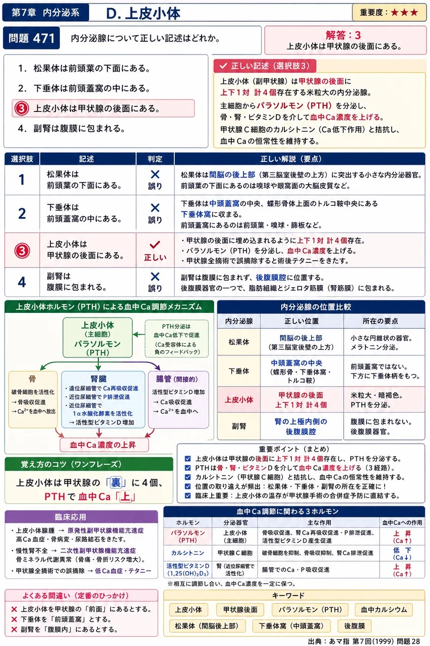 あマ指 第7回(1999) 問題28｜内分泌腺について正しい記述はどれか。 解説図