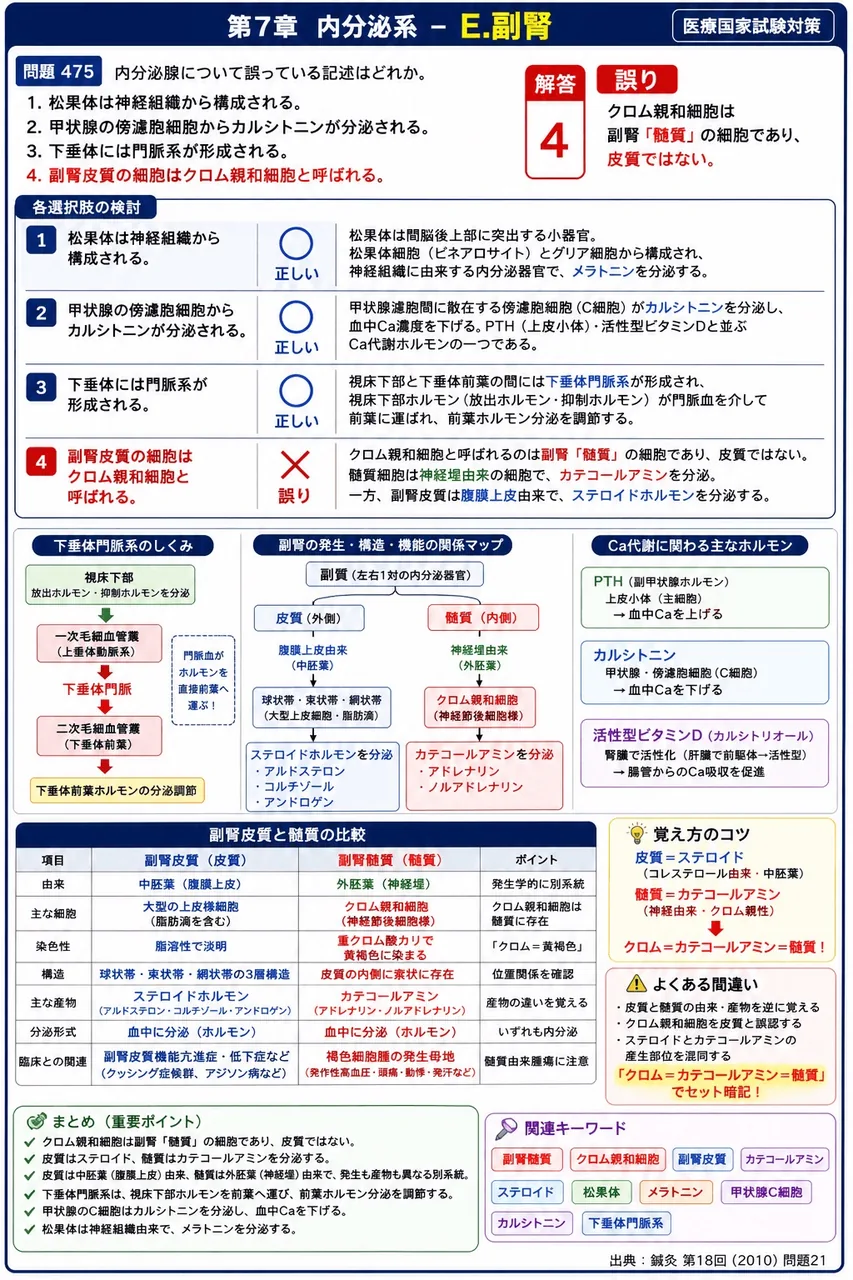 鍼灸 第18回(2010) 問題21｜内分泌腺について誤っている記述はどれか。 解説図