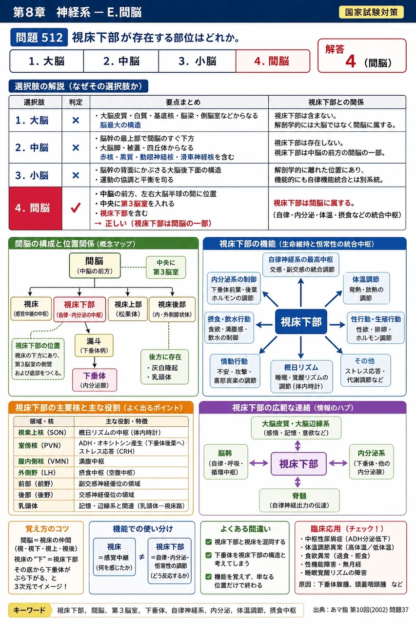 あマ指 第10回(2002) 問題37｜視床下部が存在する部位はどれか。 解説図