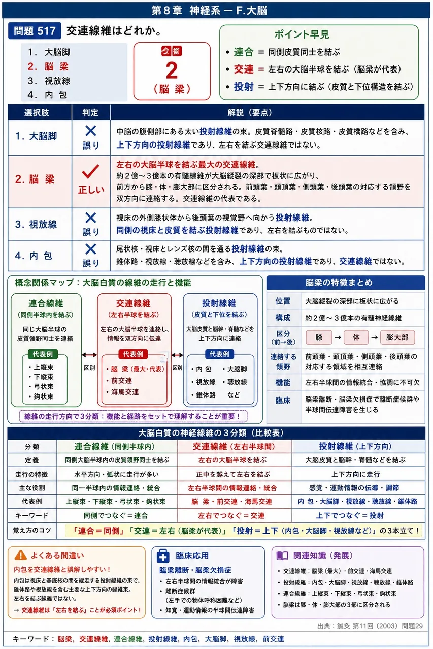 鍼灸 第11回(2003) 問題29|交連線維はどれか。 解説図