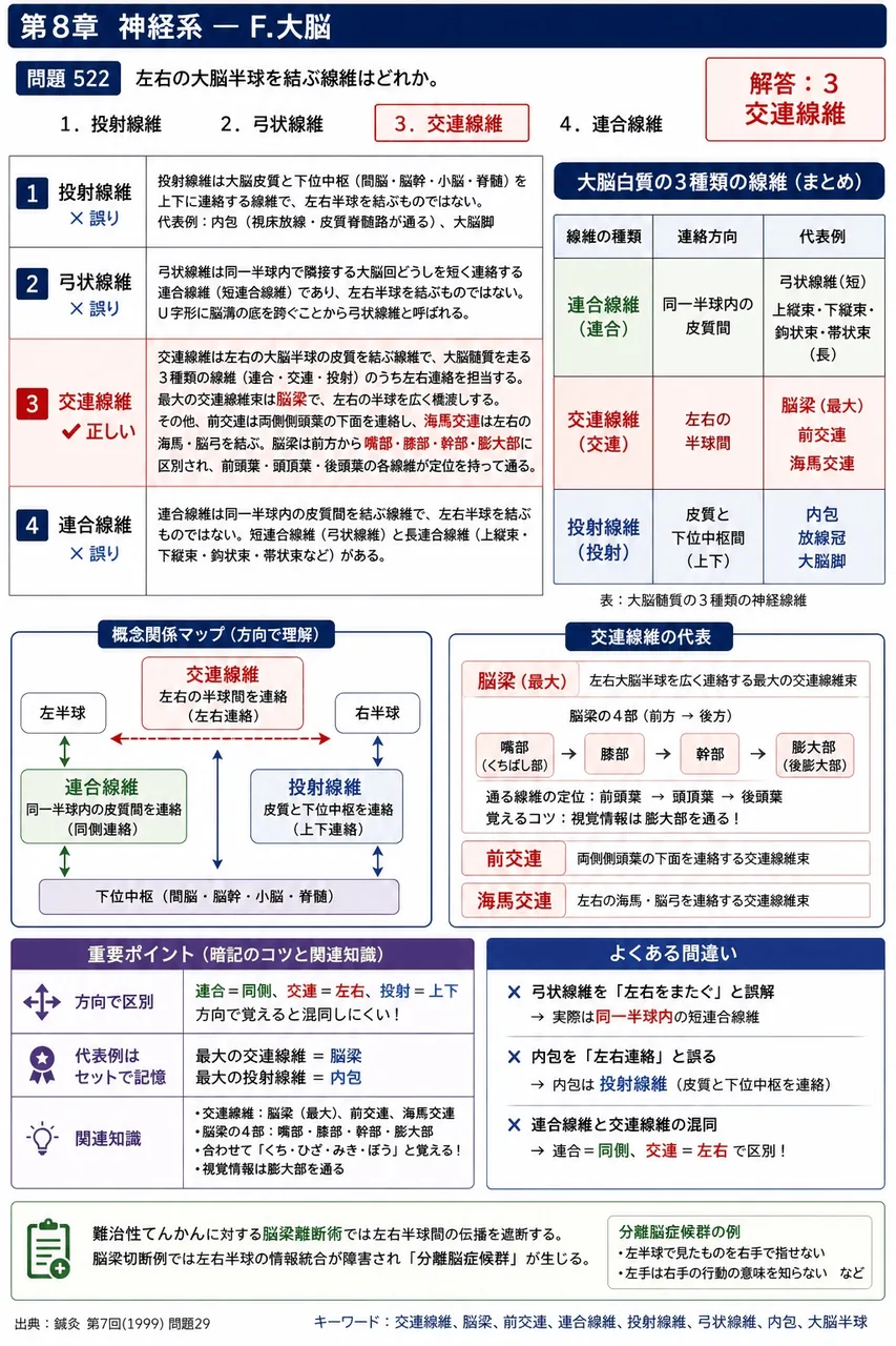 鍼灸 第7回(1999) 問題29｜左右の大脳半球を結ぶ線維はどれか。 解説図