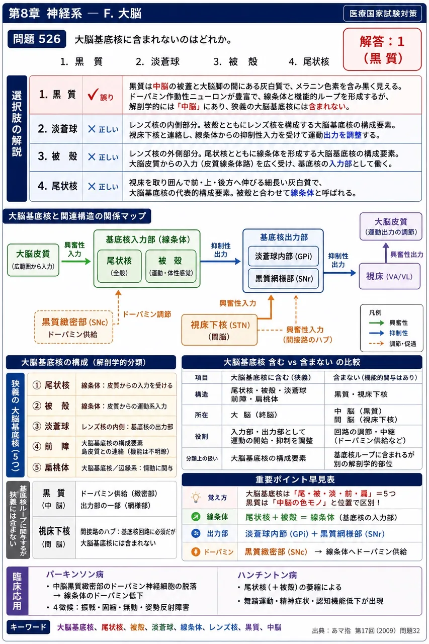 あマ指 第17回(2009) 問題32|大脳基底核に含まれないのはどれか。 解説図