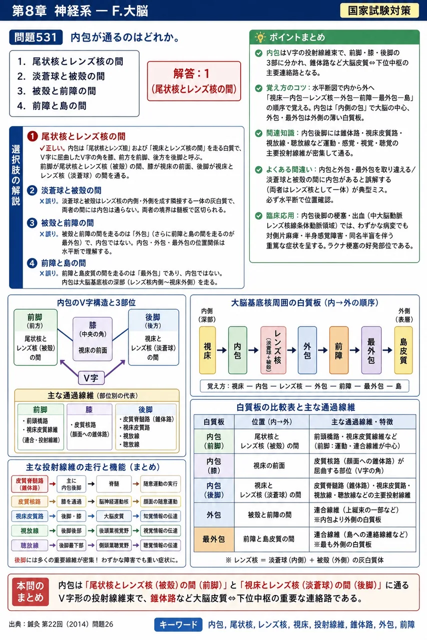 鍼灸 第22回(2014) 問題26|内包が通るのはどれか。 解説図