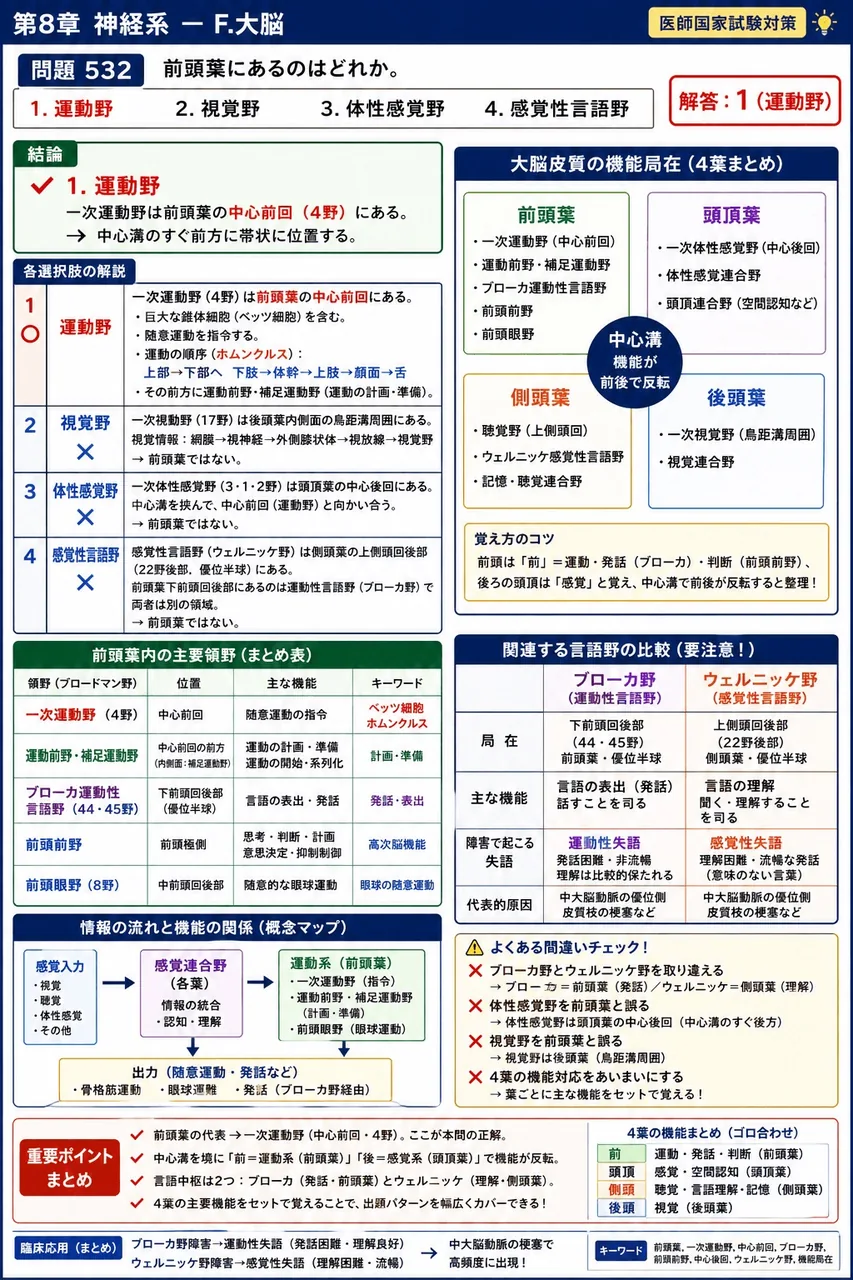 あマ指 第24回(2016) 問題25|前頭葉にあるのはどれか。 解説図