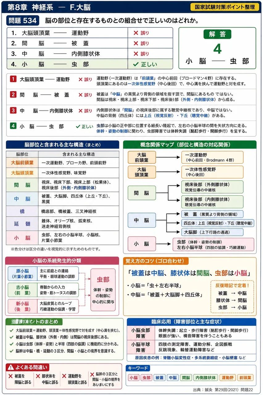 鍼灸 第29回(2021) 問題22｜脳の部位と存在するものとの組合せで正しいのはどれか。 解説図