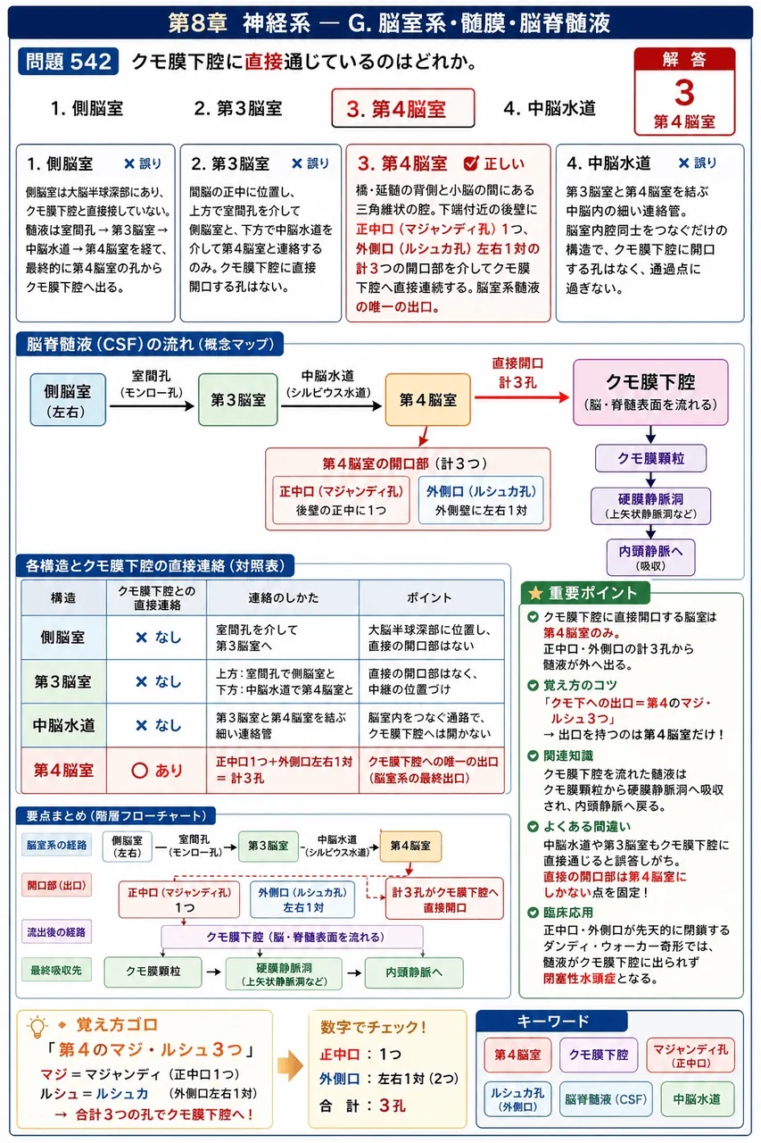あマ指 第14回(2006) 問題28｜クモ膜下腔に直接通じているのはどれか。 解説図