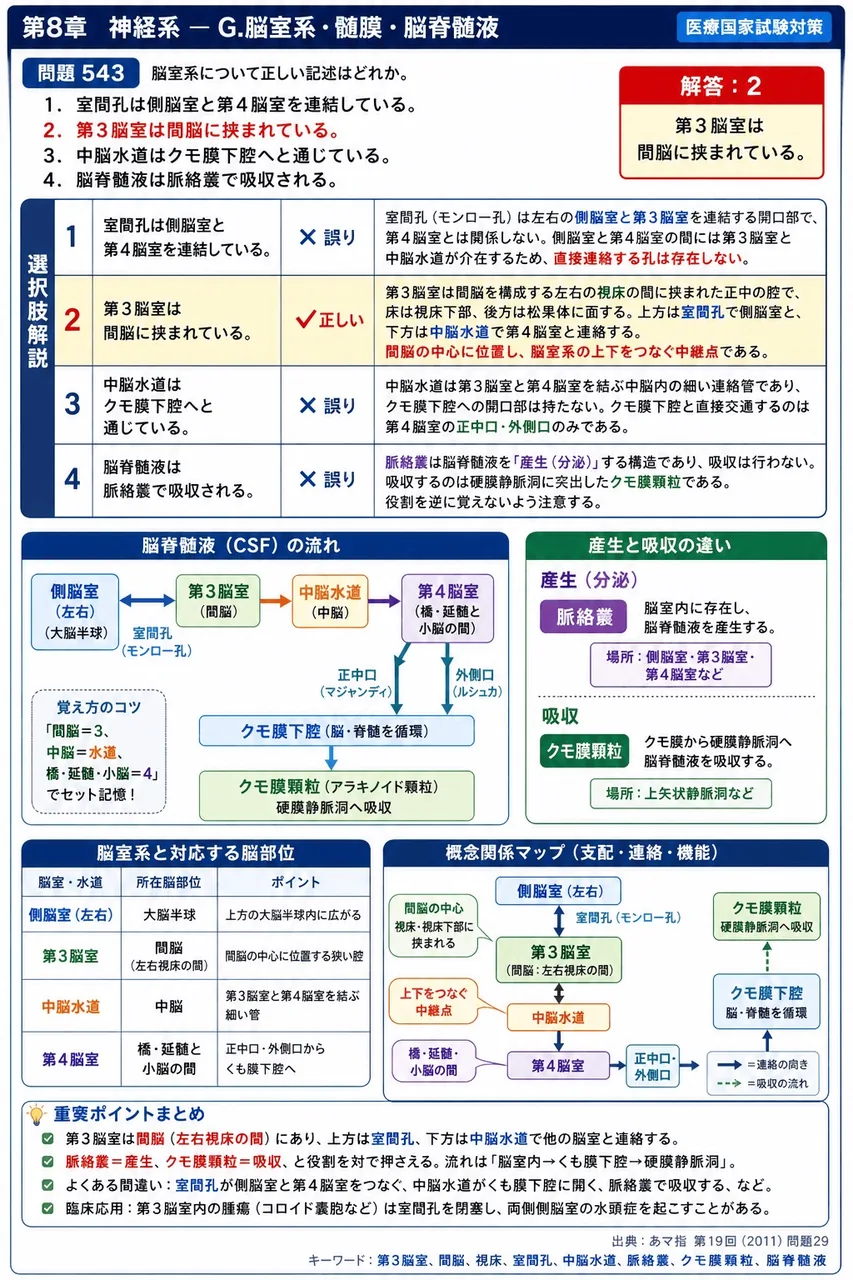 あマ指 第19回(2011) 問題29｜脳室系について正しい記述はどれか。 解説図