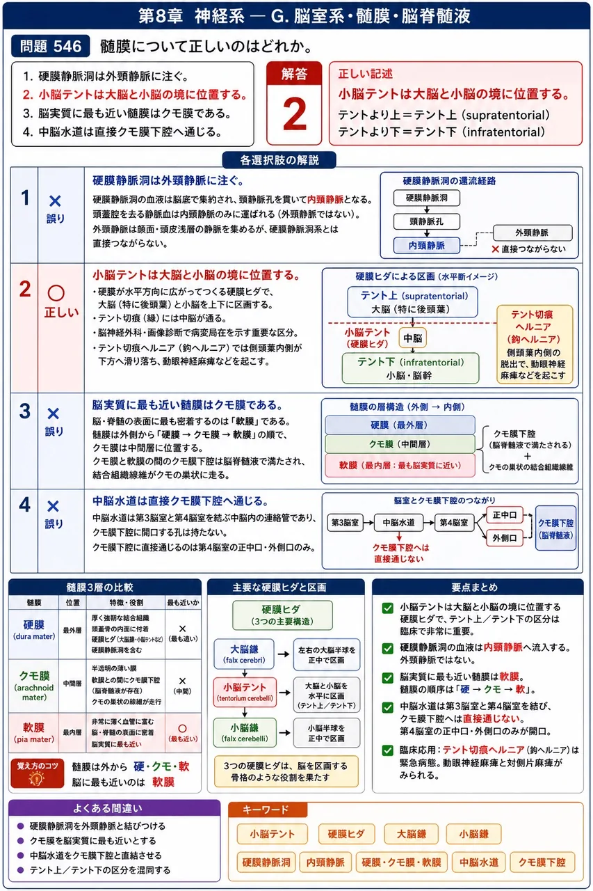 鍼灸 第32回(2024) 問題21｜髄膜について正しいのはどれか。 解説図