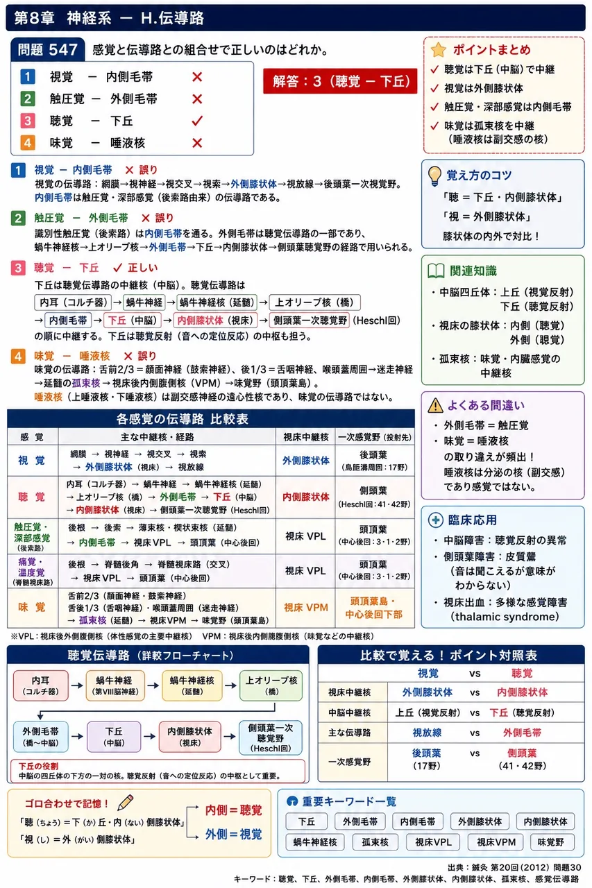鍼灸 第20回(2012) 問題30|感覚と伝導路との組合せで正しいのはどれか。 解説図