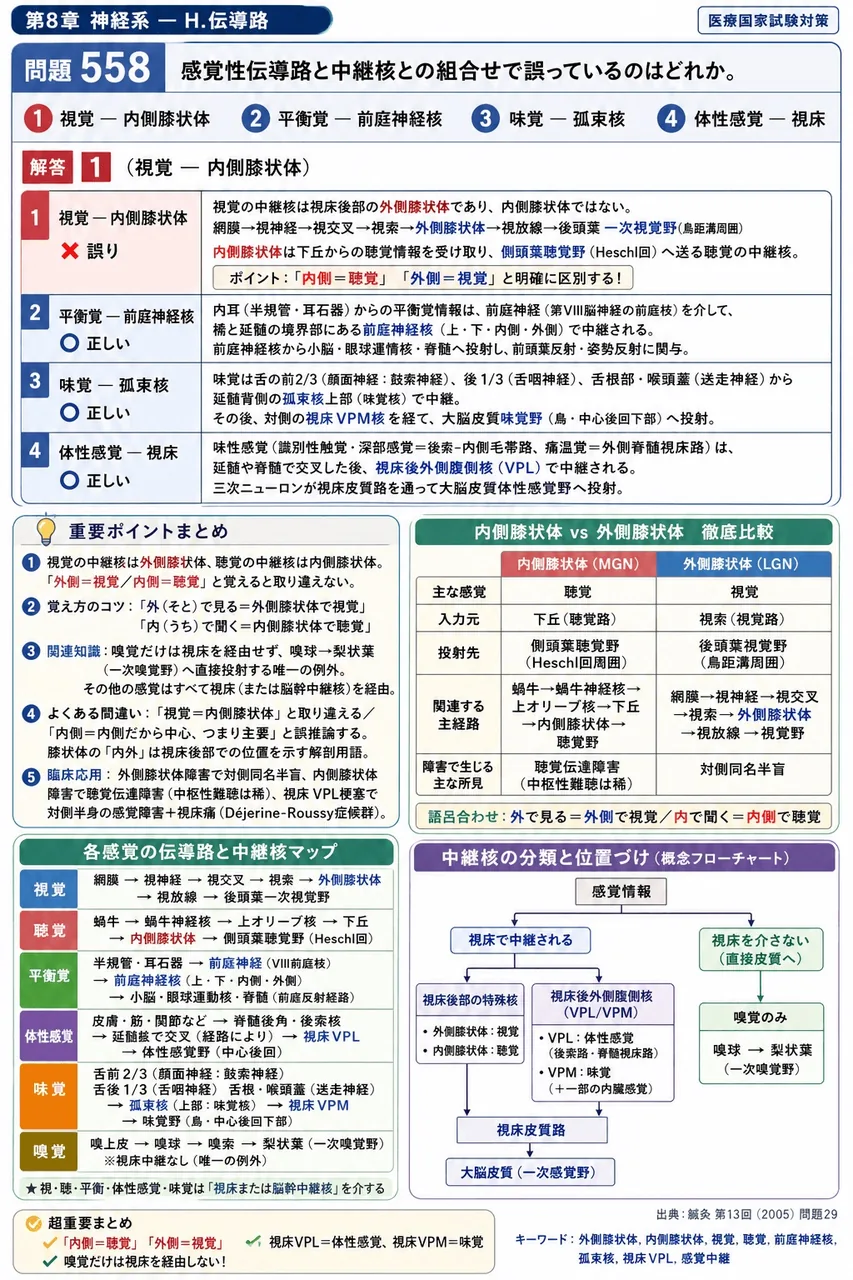 鍼灸 第13回(2005) 問題29｜感覚性伝導路と中継核との組合せで誤っているのはどれか。 解説図