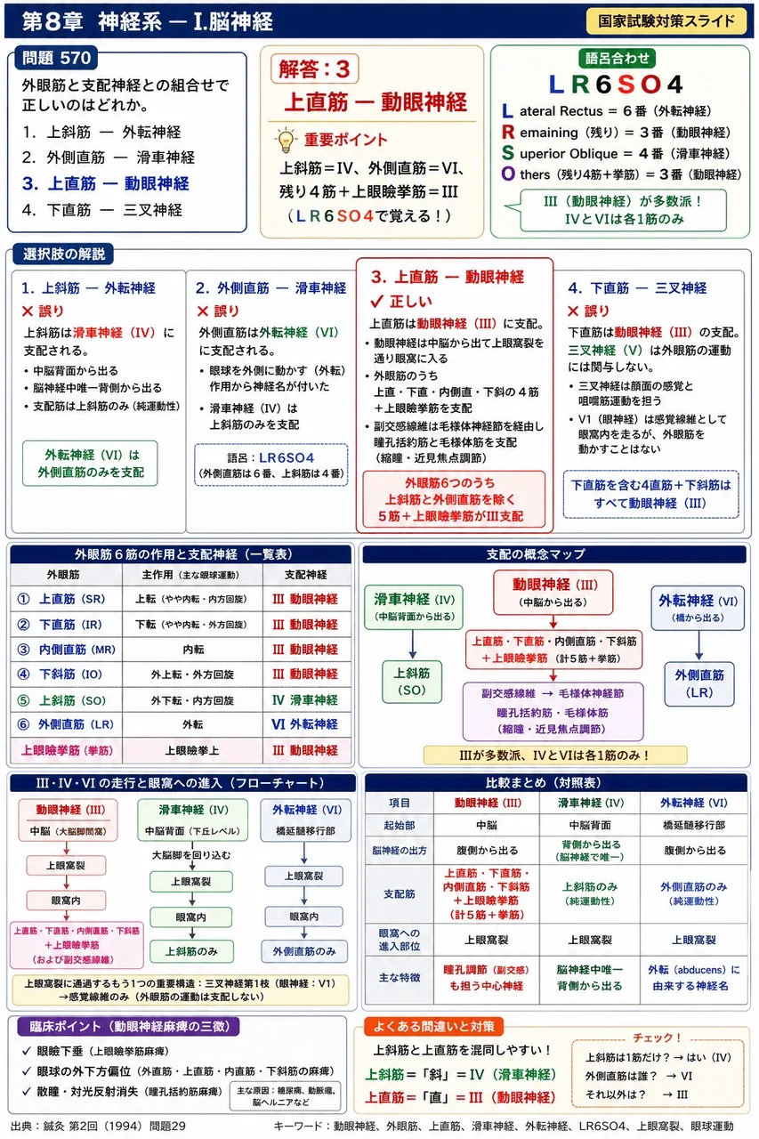 鍼灸 第2回(1994) 問題29|外眼筋と支配神経との組合せで正しいのはどれか。 解説図