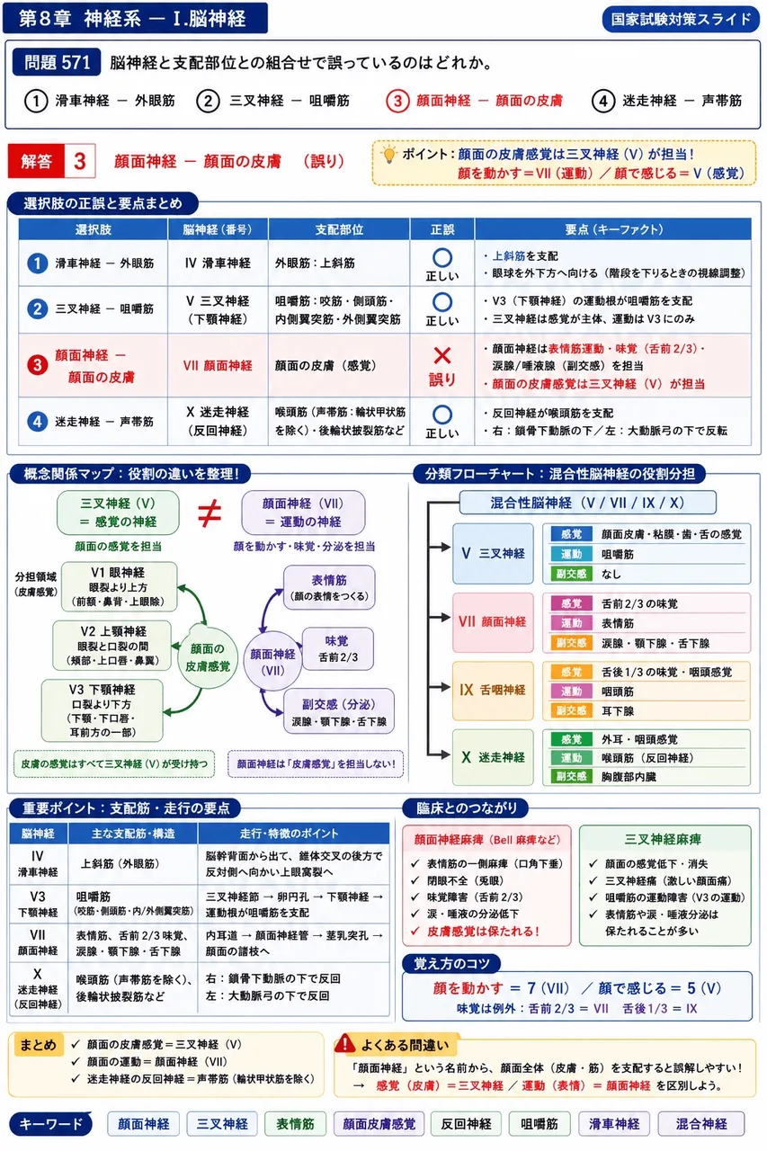 あマ指 第3回(1995) 問題31｜脳神経と支配部位との組合せで誤っているのはどれか。 解説図