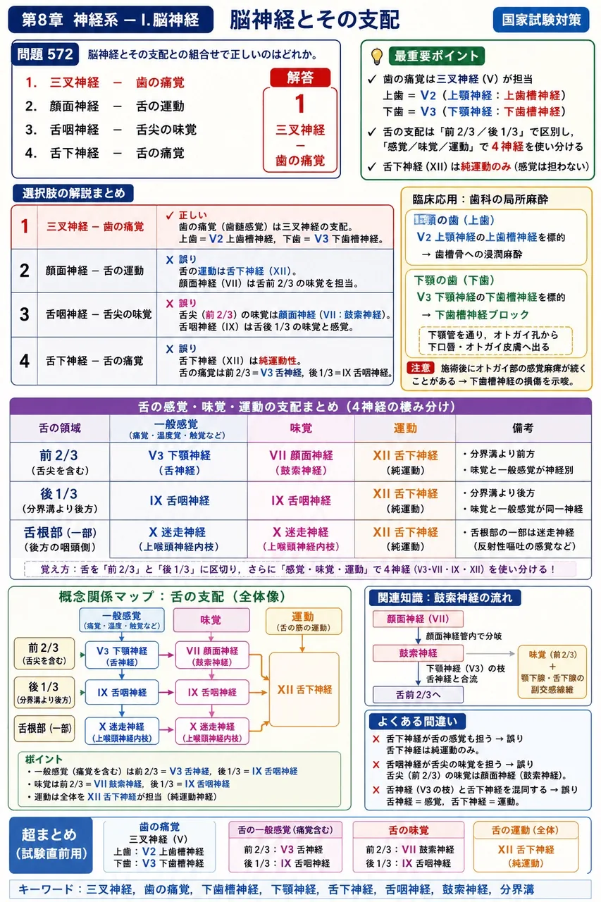 あマ指 第4回(1996) 問題31|脳神経とその支配との組合せで正しいのはどれか。 解説図