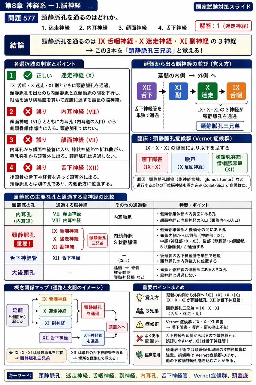 鍼灸 第9回(2001) 問題32｜頸静脈孔を通るのはどれか。 解説図