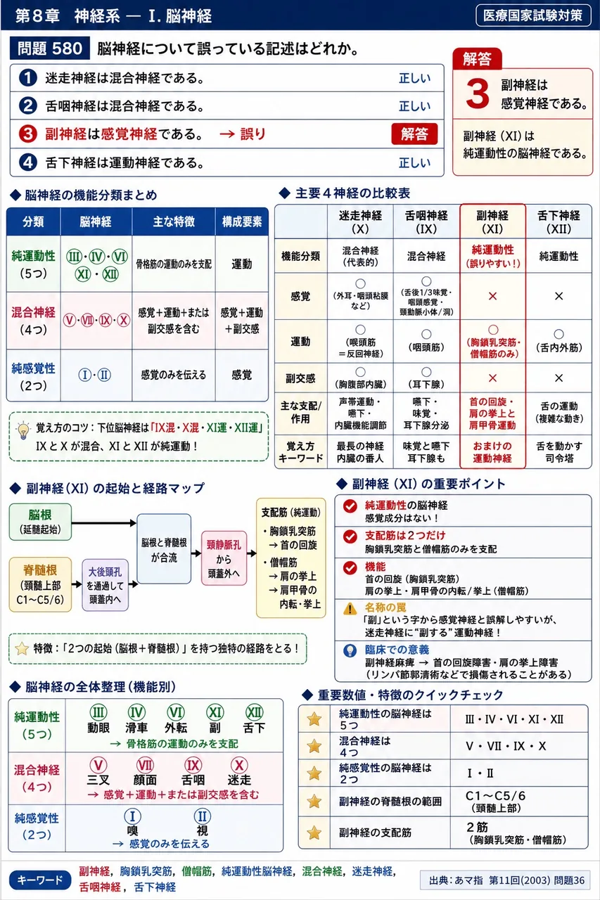 あマ指 第11回(2003) 問題36｜脳神経について誤っている記述はどれか。 解説図