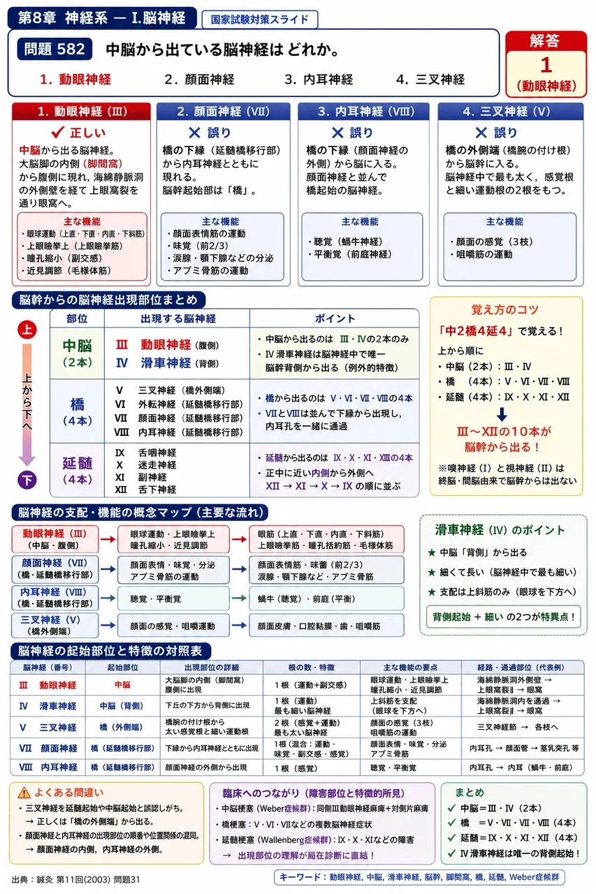 鍼灸 第11回(2003) 問題31｜中脳から出ている脳神経はどれか。 解説図