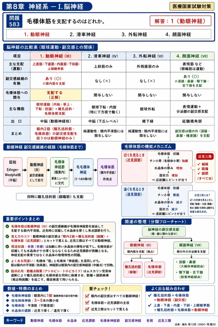 鍼灸 第12回(2004) 問題30｜毛様体筋を支配するのはどれか。 解説図