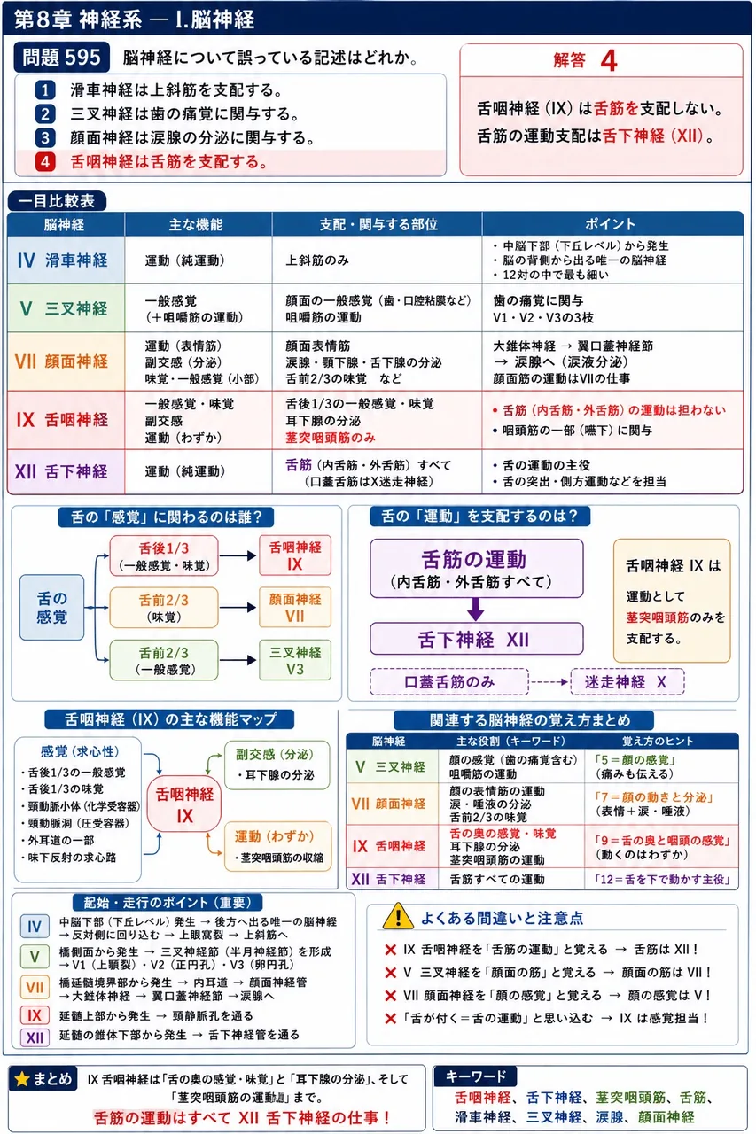 あマ指 第17回(2009) 問題29｜脳神経について誤っている記述はどれか。 解説図