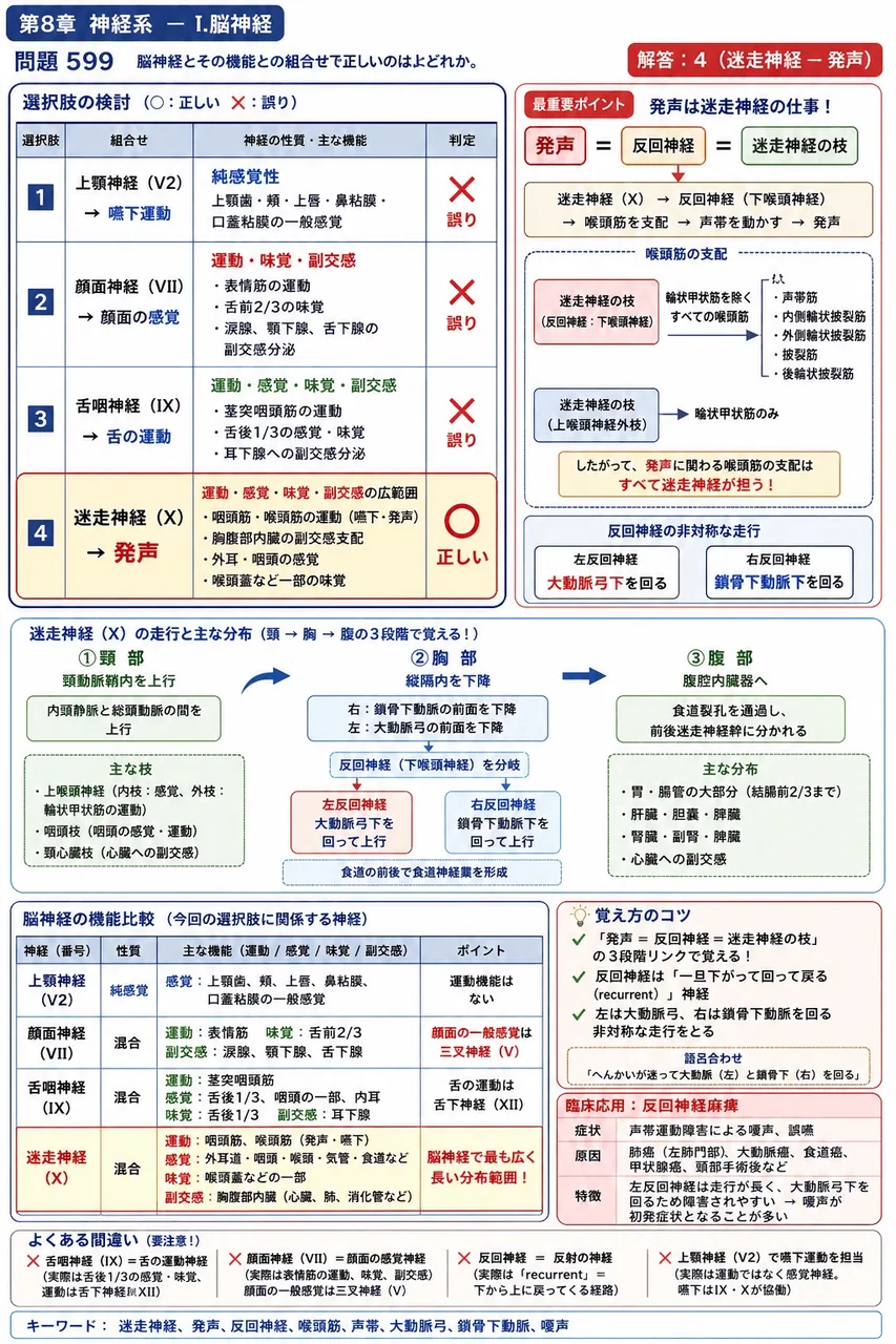 あマ指 第19回(2011) 問題30｜脳神経とその機能との組合せで正しいのはどれか。 解説図